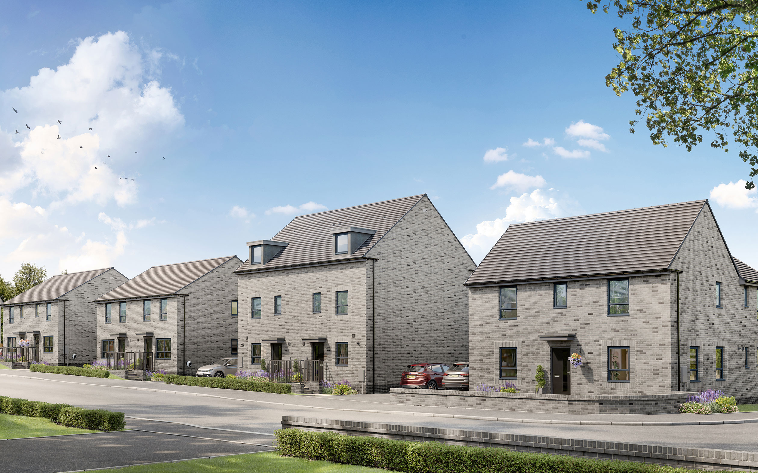 Street scene of Somer Meadows